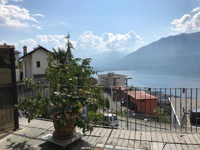 Apartamento Casa Franceschini Locarno Exterior foto